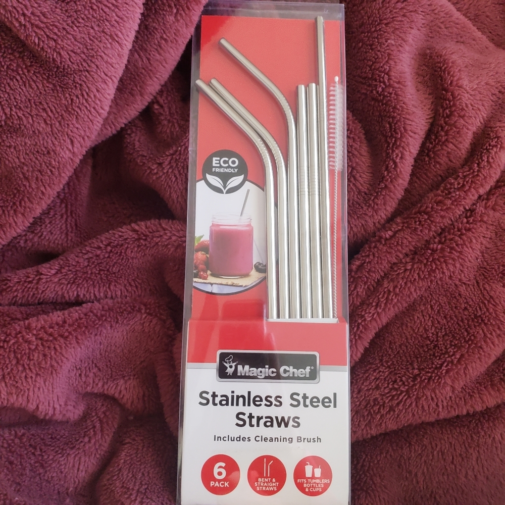 6-piece Stainless Steel Straw Set w/ Brush